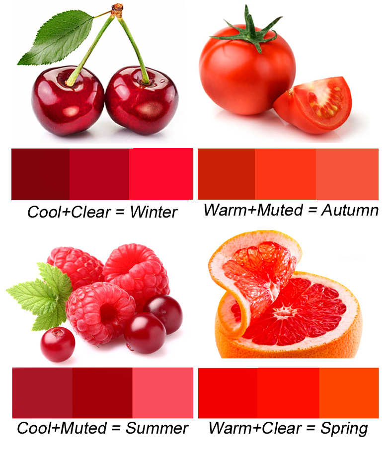 What do we mean when we say there are 'Warm Reds' and 'Cool Reds'?